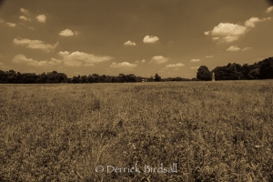 The Wheat-field